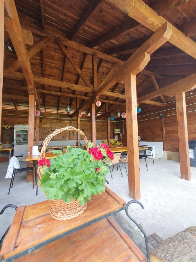 شقة Casa Ana Cluj المظهر الخارجي الصورة