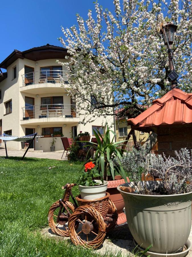 شقة Casa Ana Cluj المظهر الخارجي الصورة