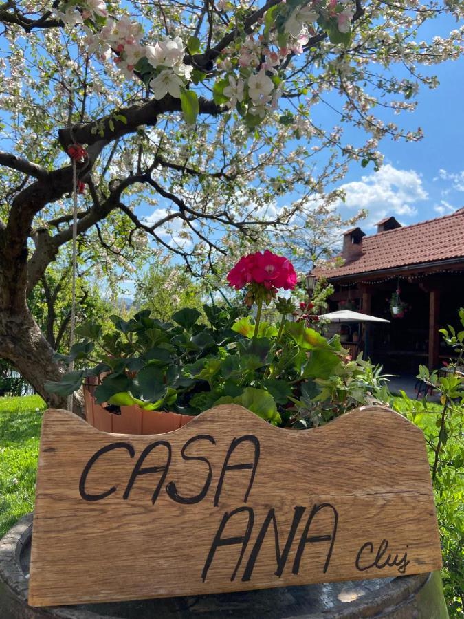 شقة Casa Ana Cluj المظهر الخارجي الصورة